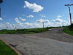 Třibřichy